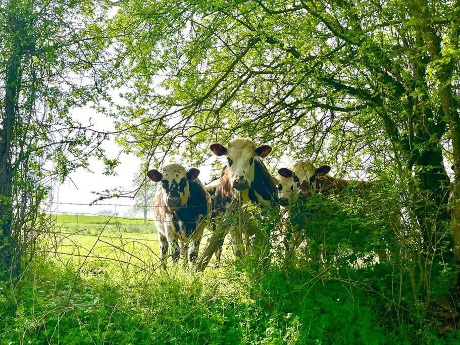 Les Maisons D'Aure Putanges Esterno foto